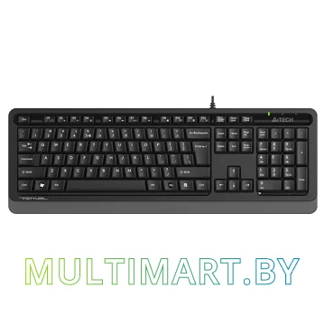 Клавиатура A4Tech Fstyler FKS10 (черный/серый)